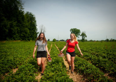 SDG Counties Orchards